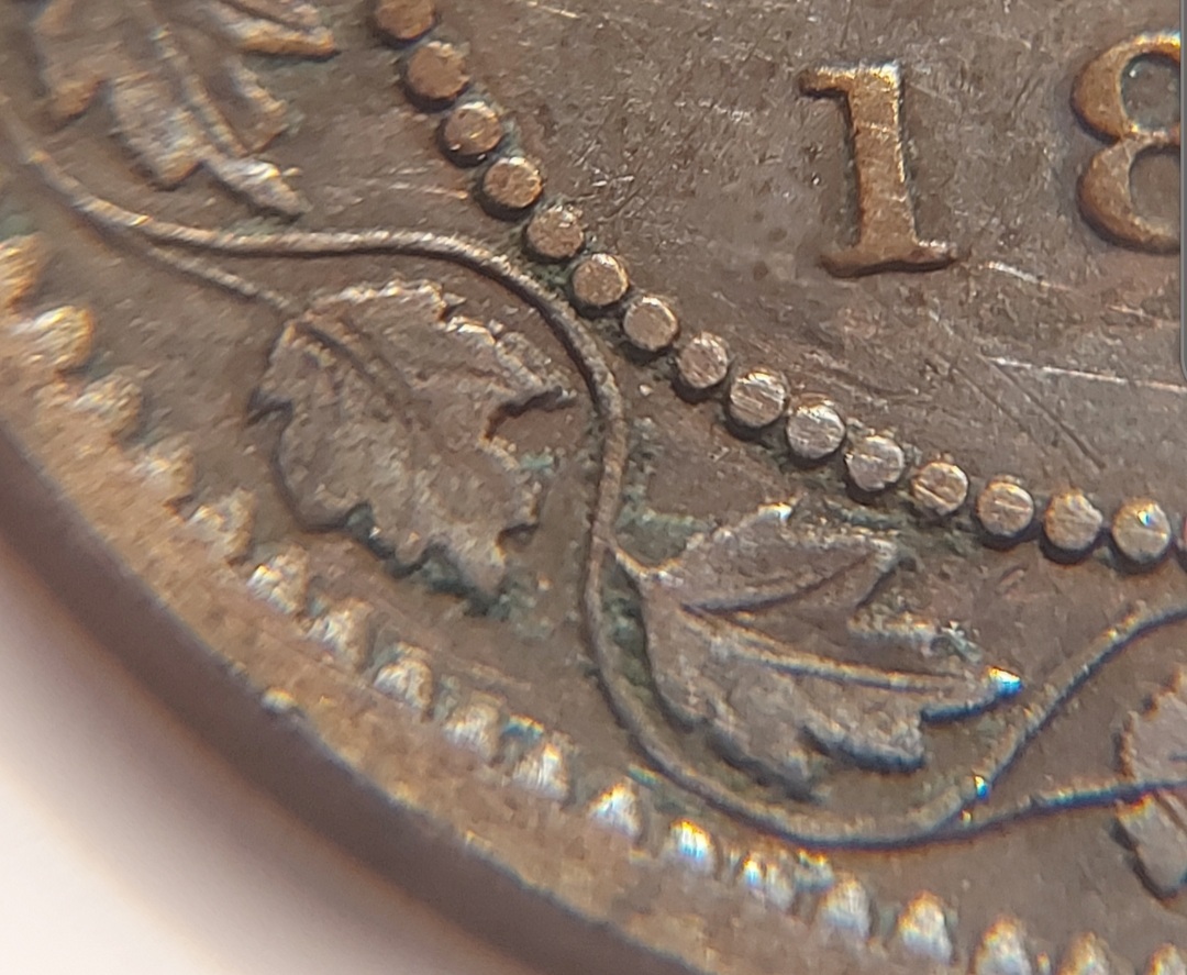 1859-Low-9-Any-Thing-Else-I-Should-Look-For-On-It?
